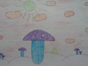 FOTO 800x600.00 00 31 23.Still1013