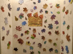 IMG 20241112 084250 607 HDR