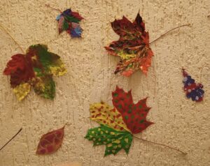 IMG 20241112 084304 719 LL~2