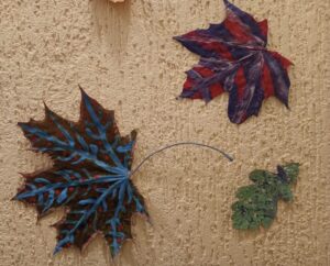 IMG 20241112 084416 572 LL~2