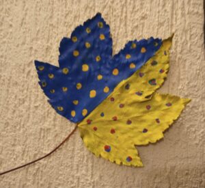 IMG 20241112 084441 425~2