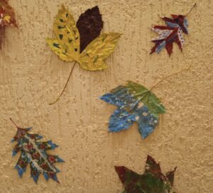 IMG 20241112 084514 991 LL~2