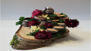 FOTO 800x450.00 00 01 17.Still114