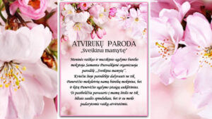 FOTO 800x450.00 00 02 11.Still066