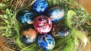 FOTO 800x450.00 00 02 20.Still067