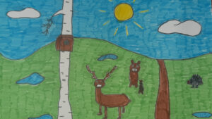 FOTO 800x450.00 00 04 24.Still238