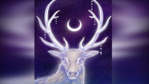 FOTO 800x450.00 00 15 14.Still178