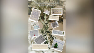 FOTO 800x450.00 00 16 06.Still206