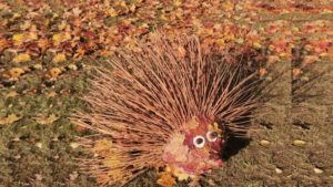 FOTO 800x450.00 00 17 12.Still157