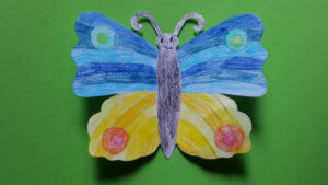 FOTO 800x450.00 00 18 24.Still268 1