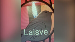 FOTO 800x450.00 00 19 04.Still205