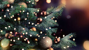 FOTO 800x450.00 00 20 17.Still202