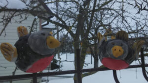 FOTO 800x450.00 00 21 03.Still215