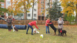 FOTO 800x450.00 00 22 13.Still155