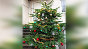 FOTO 800x450.00 00 25 16.Still194