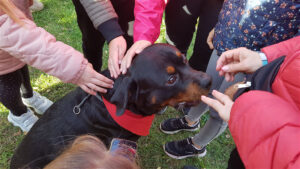 FOTO 800x450.00 00 28 09.Still294