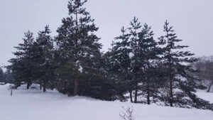 FOTO 800x450.00 01 01 05.Still217