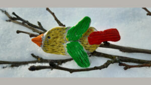 FOTO 800x450.00 01 07 23.Still229