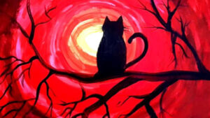 FOTO 800x450.00 05 44 20.Still254