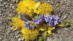 FOTO 800x450.00 10 21 01.Still106