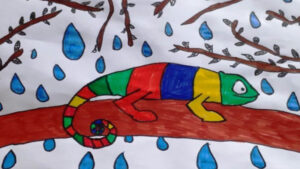 FOTO 800x450.00 10 23 21.Still110