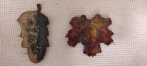 IMG 20221103 172537 scaled