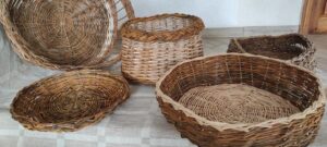 IMG 20230303 124957 scaled