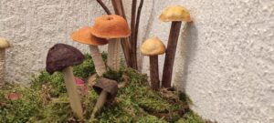 IMG 20230914 155207 scaled