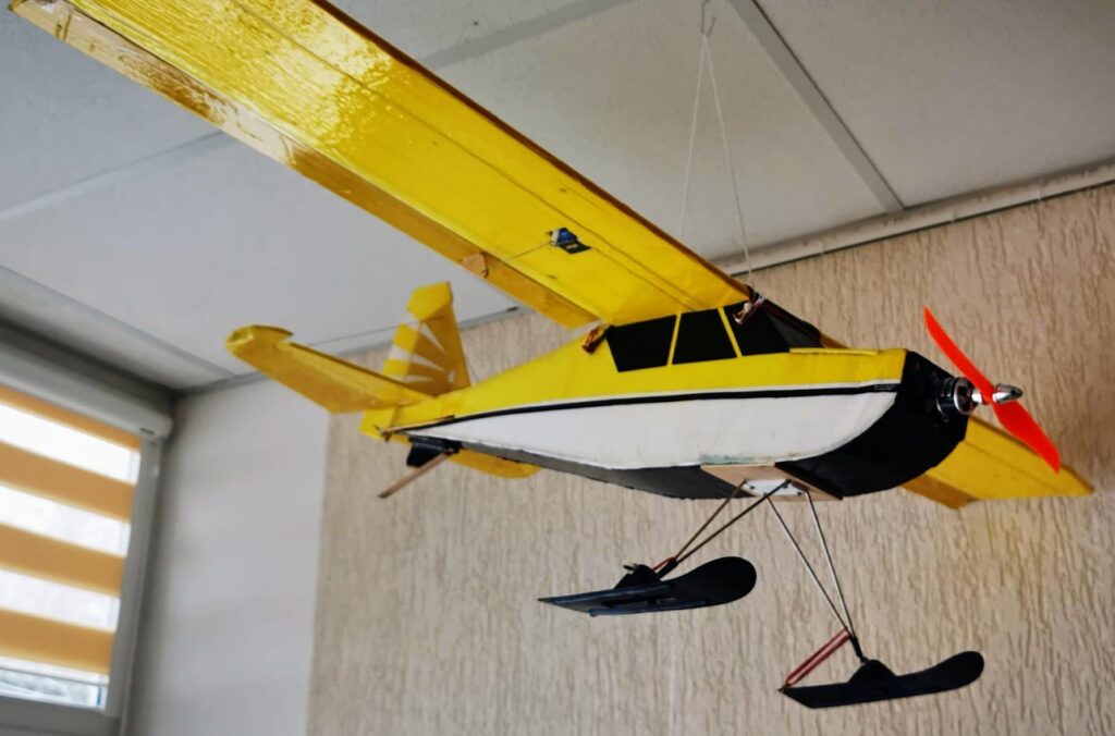 kai rankos kuria skrydį 3